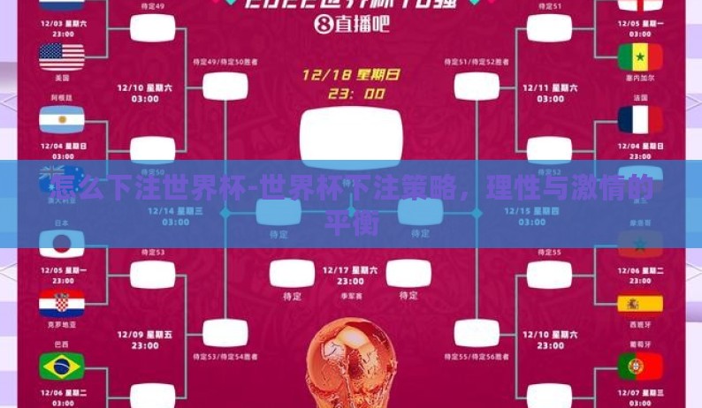 怎么下注世界杯-世界杯下注策略，理性与激情的平衡