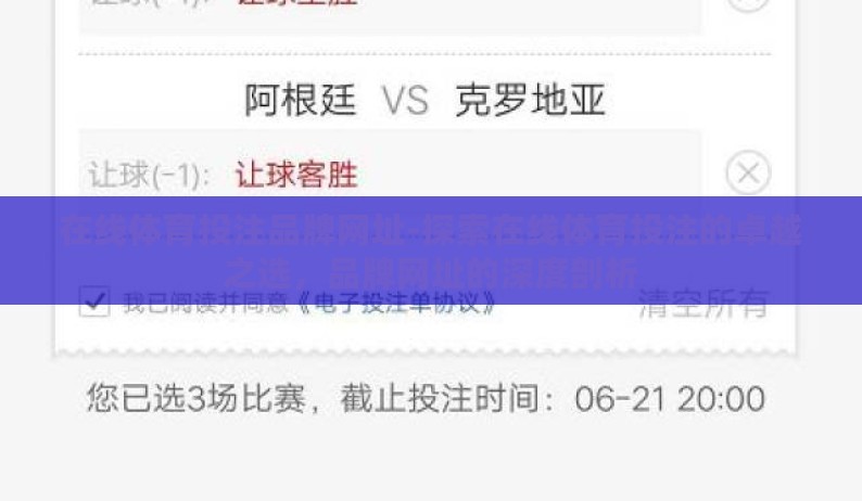 在线体育投注品牌网址-探索在线体育投注的卓越之选,品牌网址的深度剖析 在线体育投注品牌网址-探索在线体育投注的卓越之选,品牌网址的深度剖析