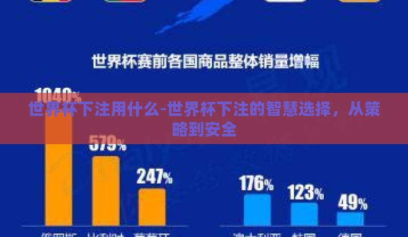 世界杯下注用什么-世界杯下注的智慧选择,从策略到安全 世界杯下注用什么-世界杯下注的智慧选择,从策略到安全