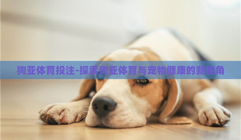 狗亚体育投注-探索狗亚体育与宠物健康的新视角 狗亚体育投注-探索狗亚体育与宠物健康的新视角