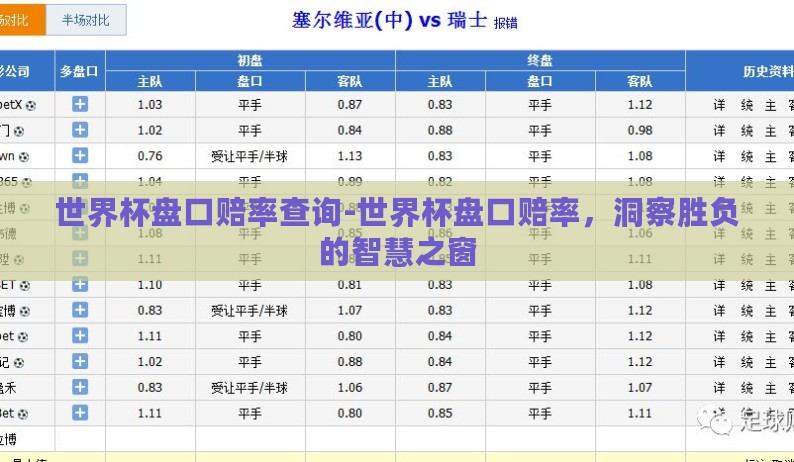 世界杯盘口赔率查询-世界杯盘口赔率，洞察胜负的智慧之窗
