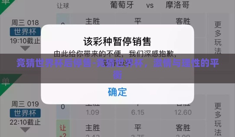 竞猜世界杯后停售-竞猜世界杯，激情与理性的平衡